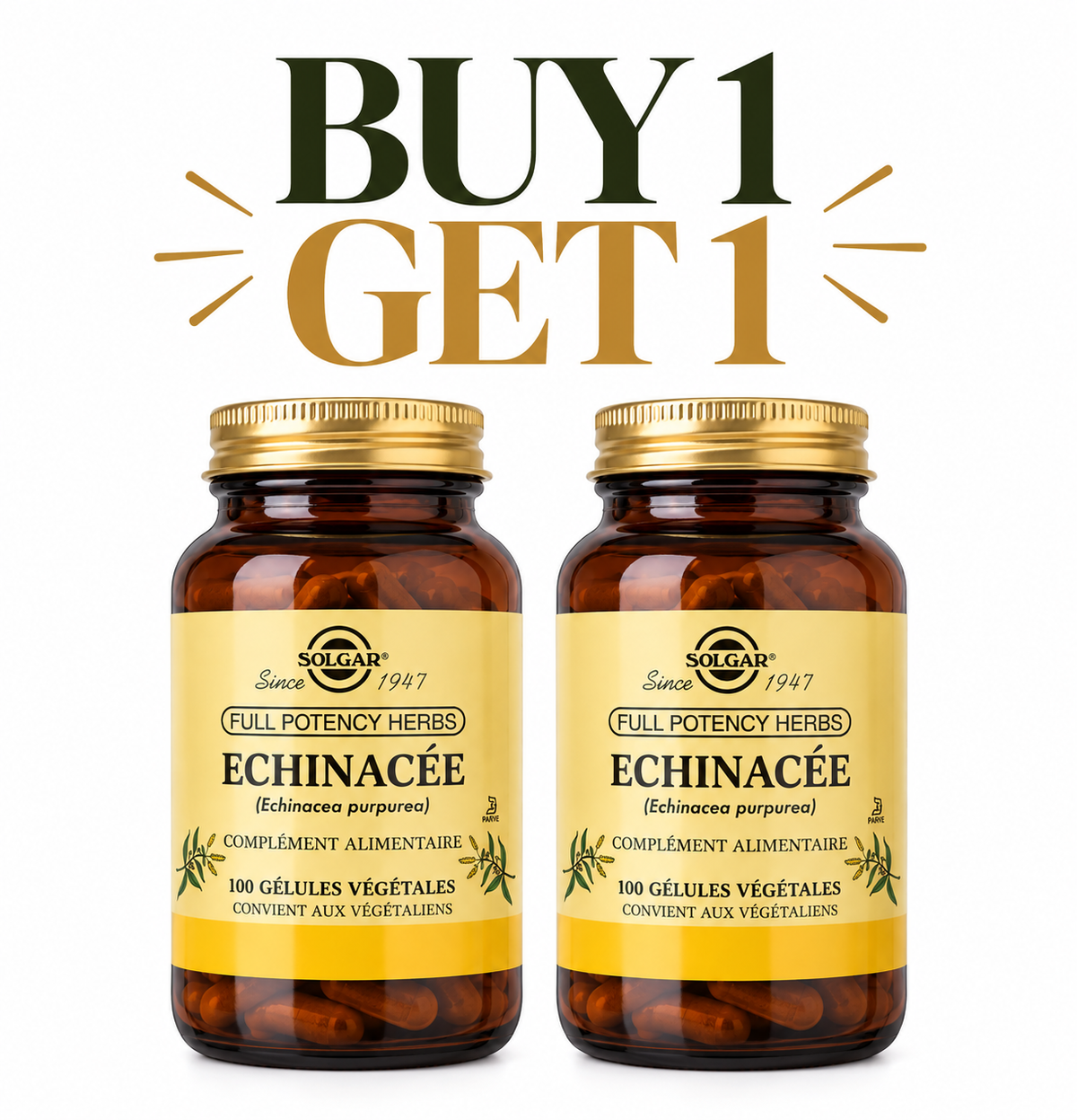 Solgar echinacea 100 cap Buy One get One Free