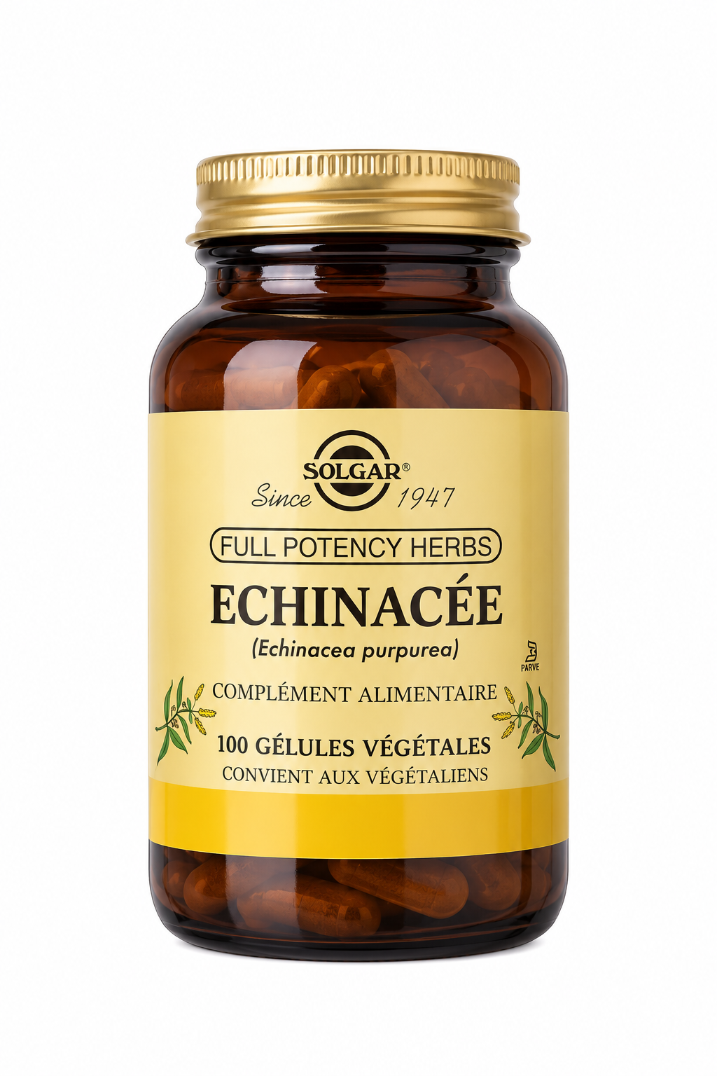 solgar echinacee 