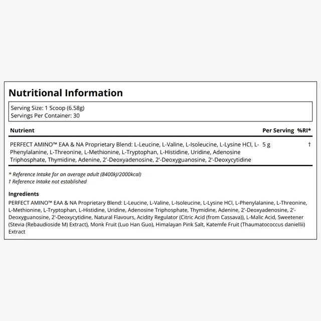 Perfect Amino Powder - Mixed Berry